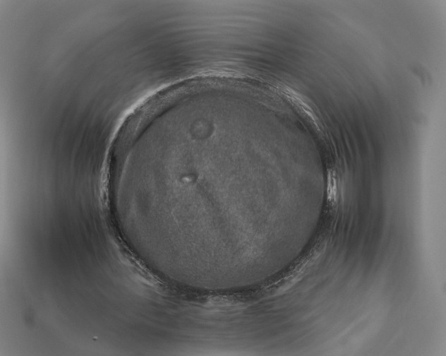 X0000112950388200909071120