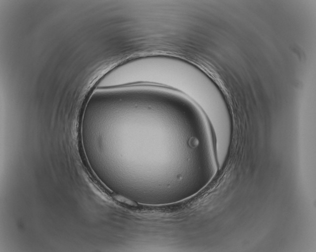 X0000112950389200909071120