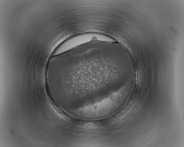 X0000112950390200909071120