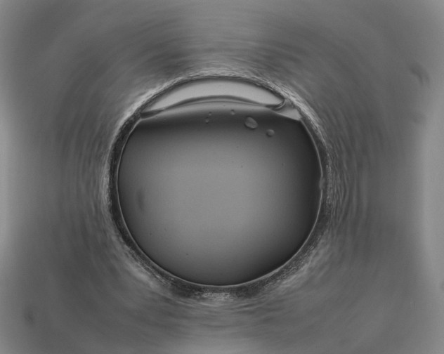 X0000112950391200909071120