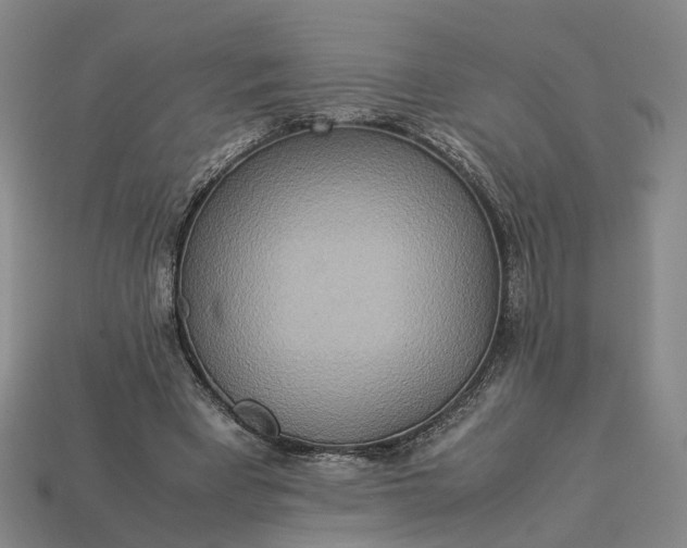 X0000112950393200909071120