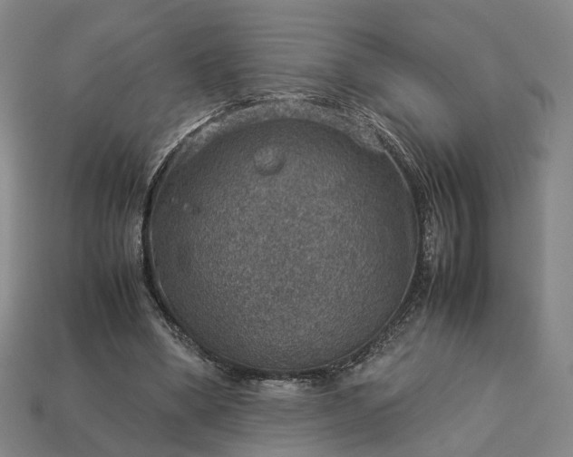 X0000112950394200909071120