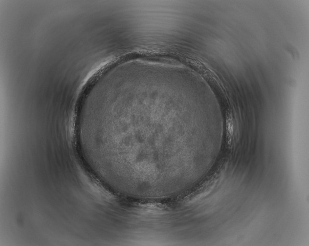 X0000112950396200909071120