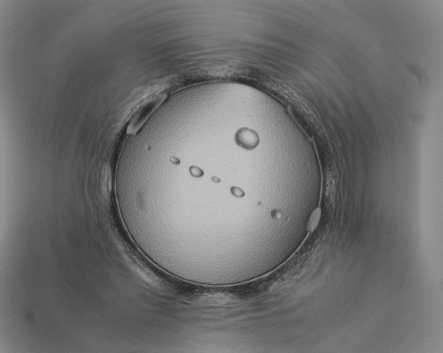 X0000112950397200909071120