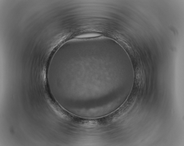 X0000112950398200909071119