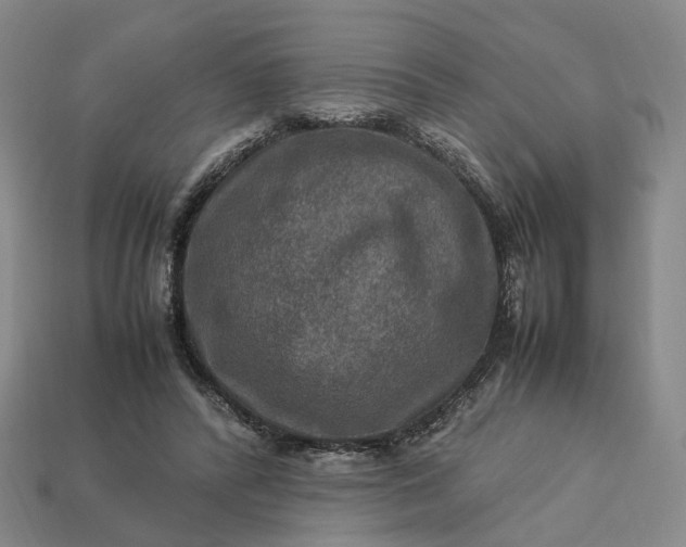 X0000112950400200909071119