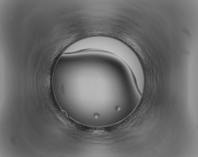 X0000112950401200909071119