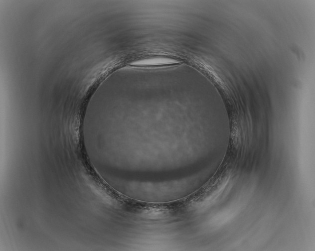 X0000112950402200909071119