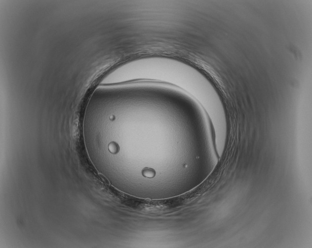 X0000112950403200909071119