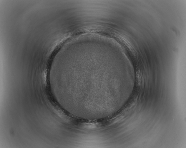 X0000112950404200909071119