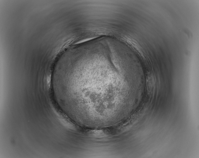 X0000112950406200909071119