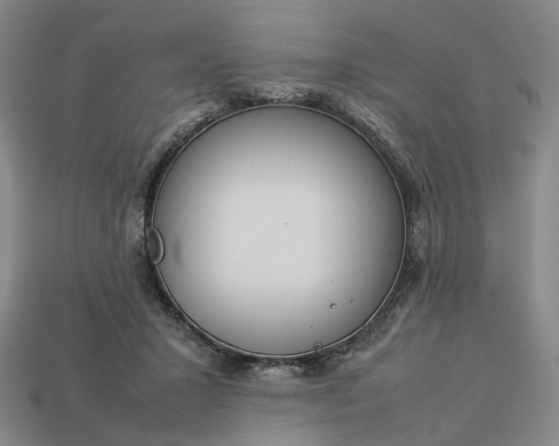 X0000112950407200909071119