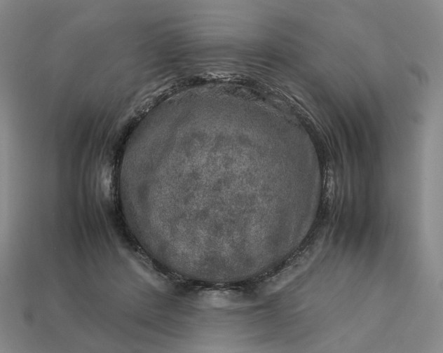 X0000112950408200909071119