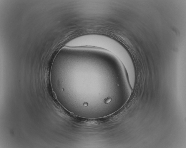 X0000112950409200909071119