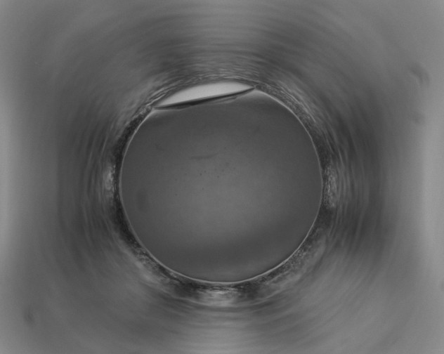 X0000112950410200909071119