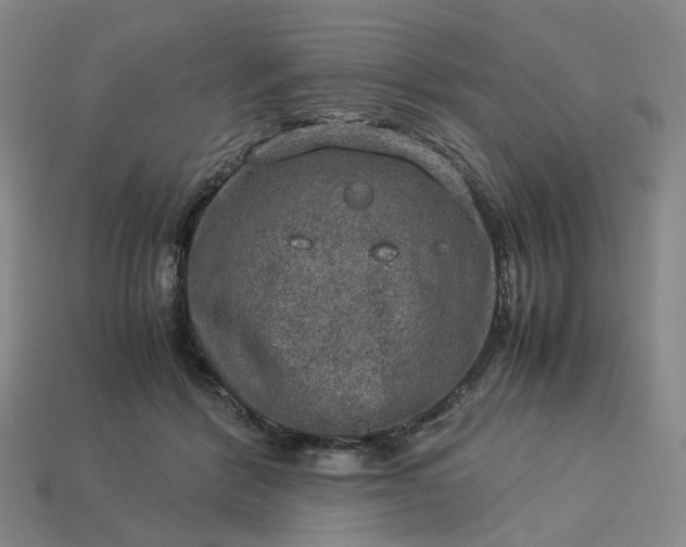 X0000112950412200909071119