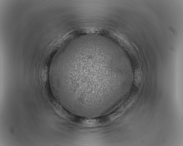 X0000112950413200909071119