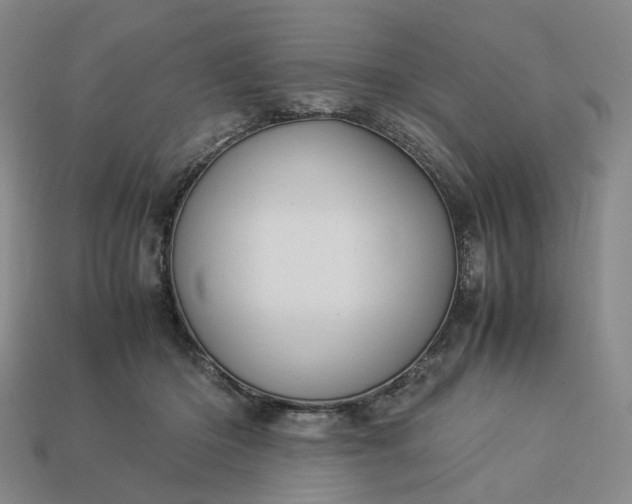 X0000112950414200909071119