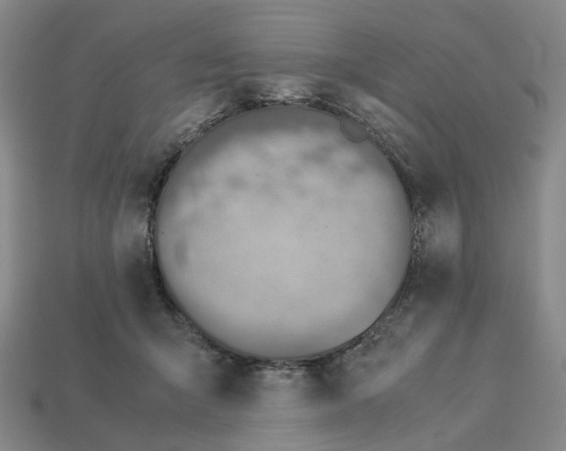 X0000112950415200909071119