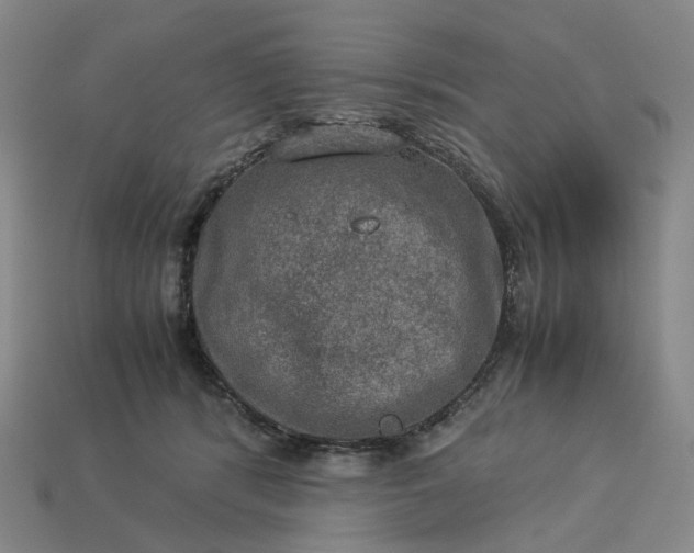 X0000112950416200909071119