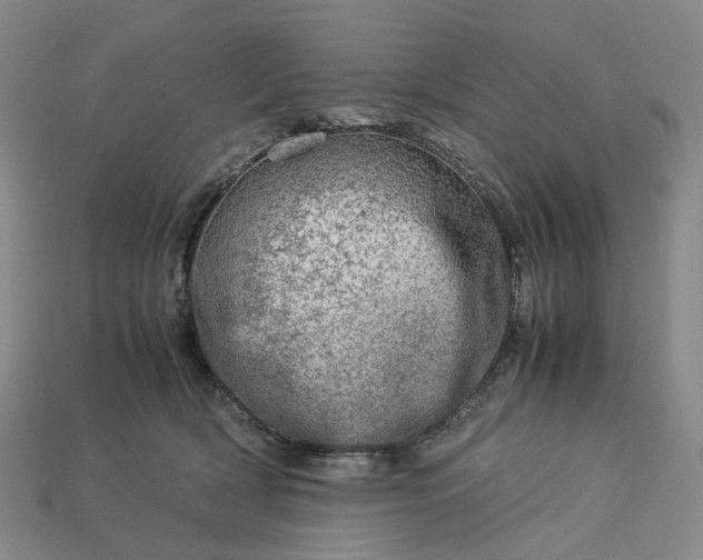 X0000112950418200909071119