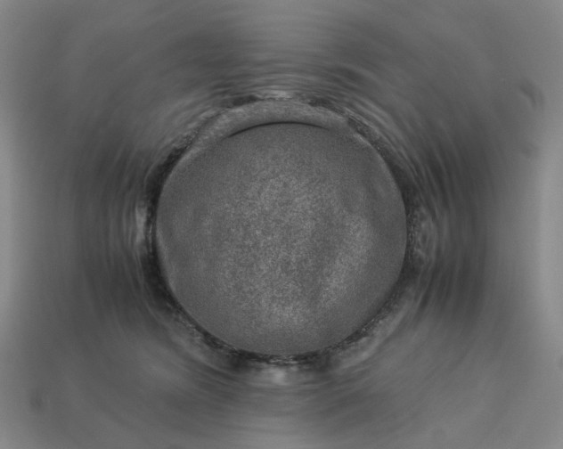 X0000112950420200909071119