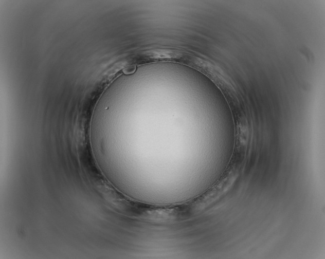 X0000112950422200909071119