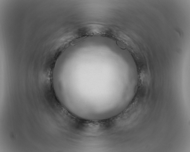 X0000112950423200909071119