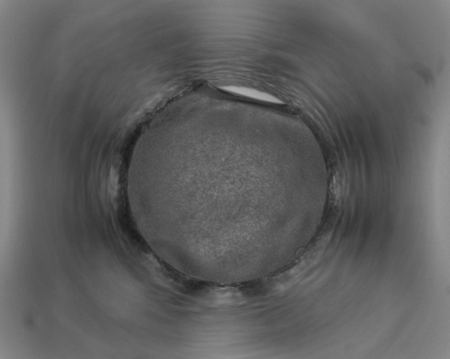 X0000112950424200909071119