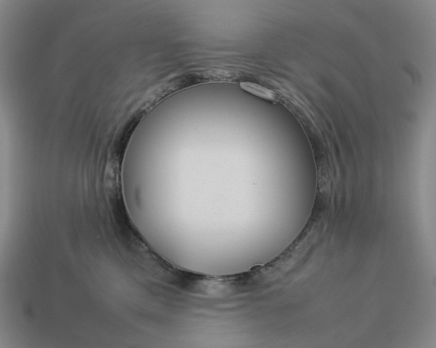 X0000112950425200909071119