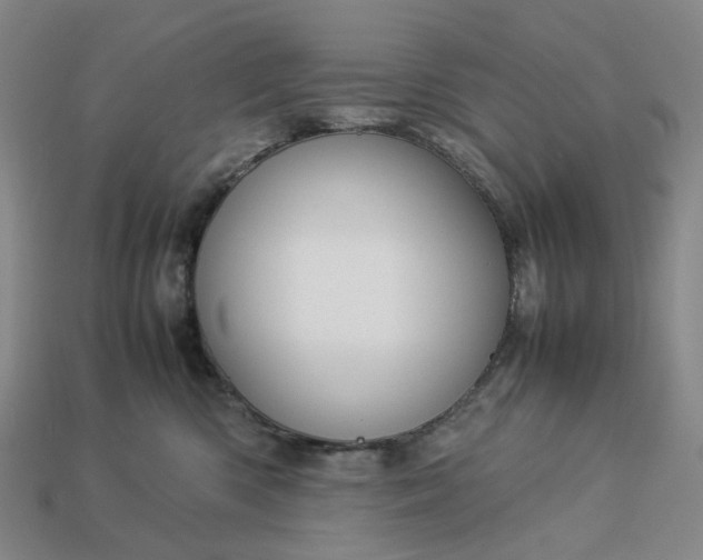 X0000112950426200909071119