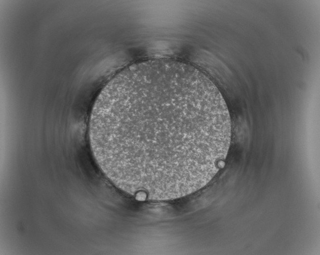 X0000112950427200909071119