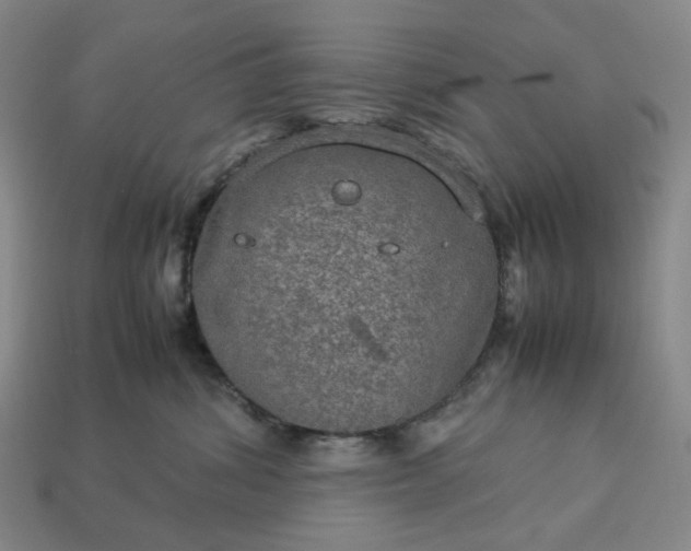 X0000112950428200909071119