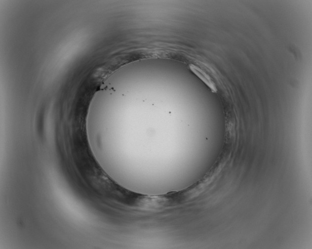 X0000112950429200909071119