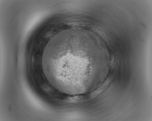 X0000112950430200909071119