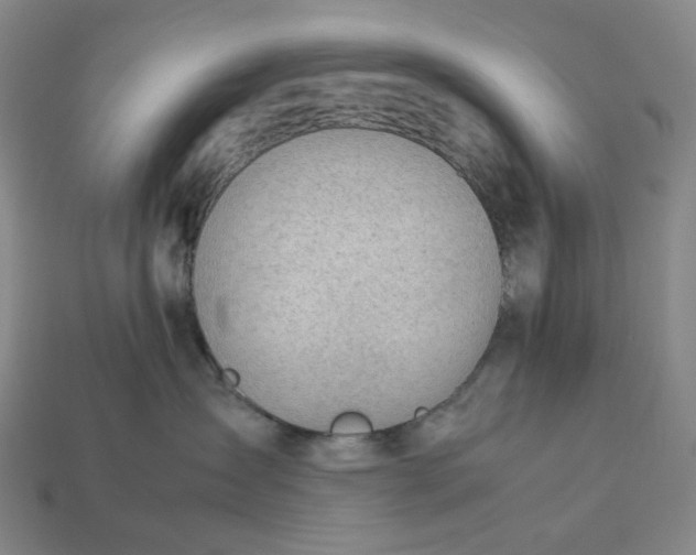 X0000112950431200909071119