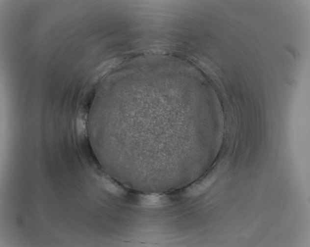 X0000112950432200909071119