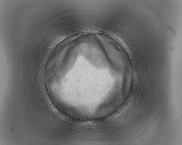 X0000112950433200909071118