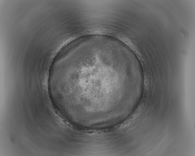 X0000112950434200909071118