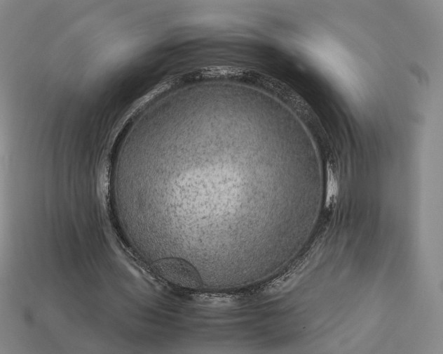 X0000112950435200909071118