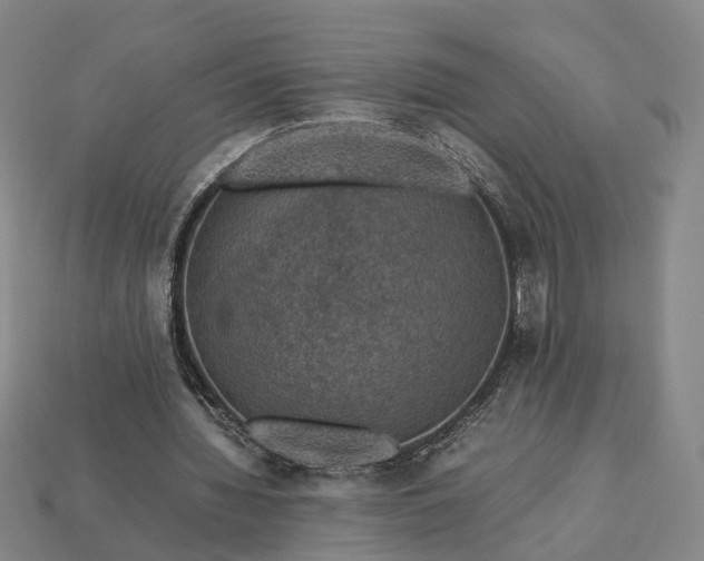 X0000112950436200909071118