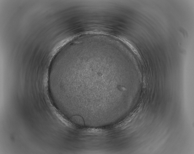 X0000112950437200909071118