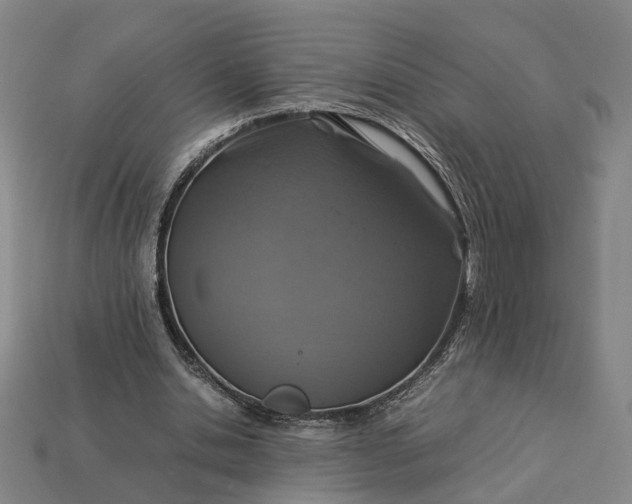 X0000112950438200909071119