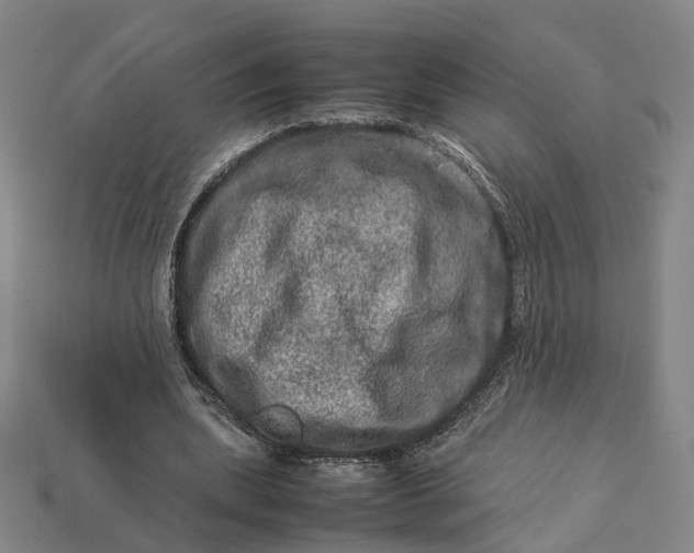 X0000112950439200909071119