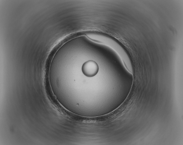 X0000112950440200909071119