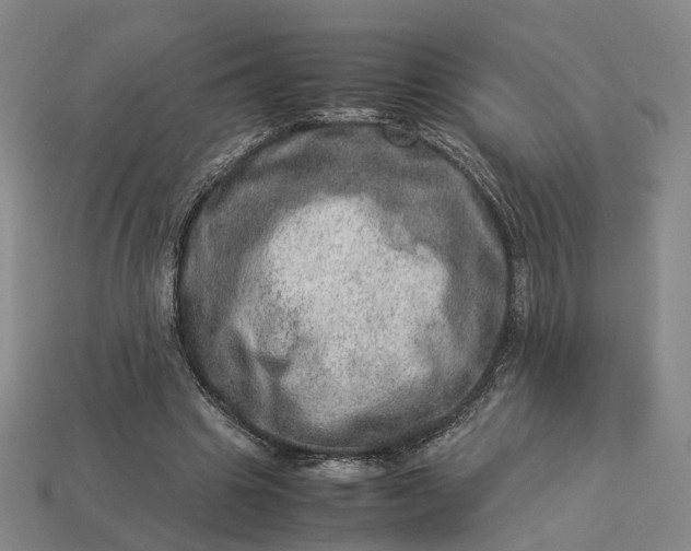 X0000112950441200909071119