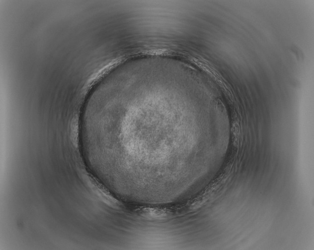 X0000112950442200909071119