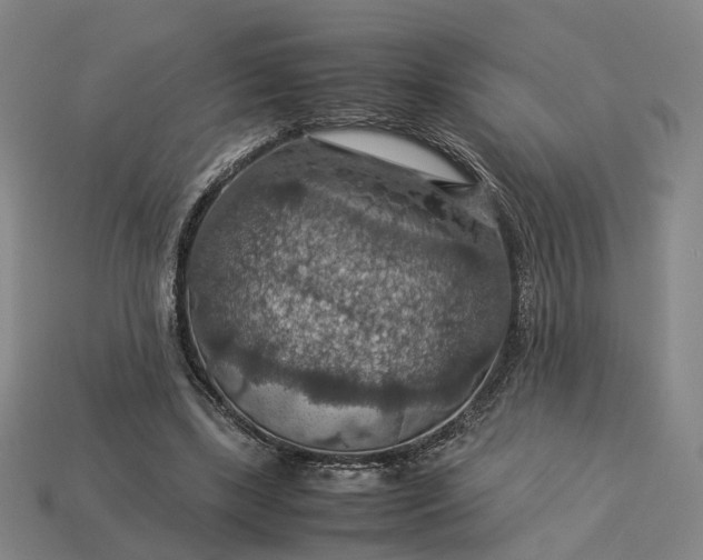 X0000112950443200909071119