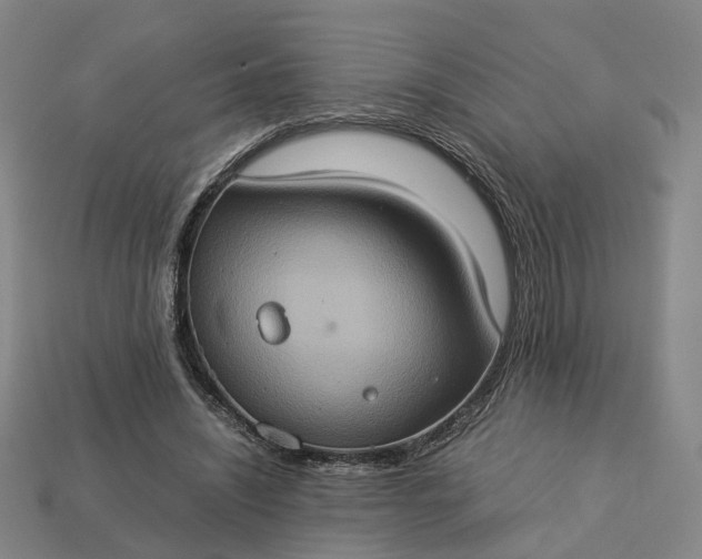 X0000112950444200909071119