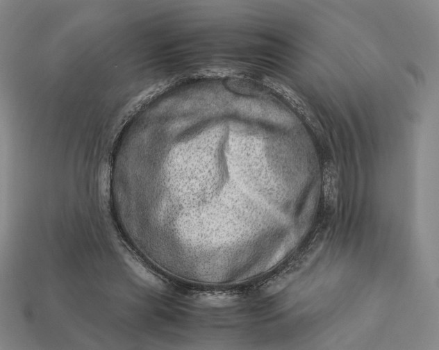 X0000112950445200909071119